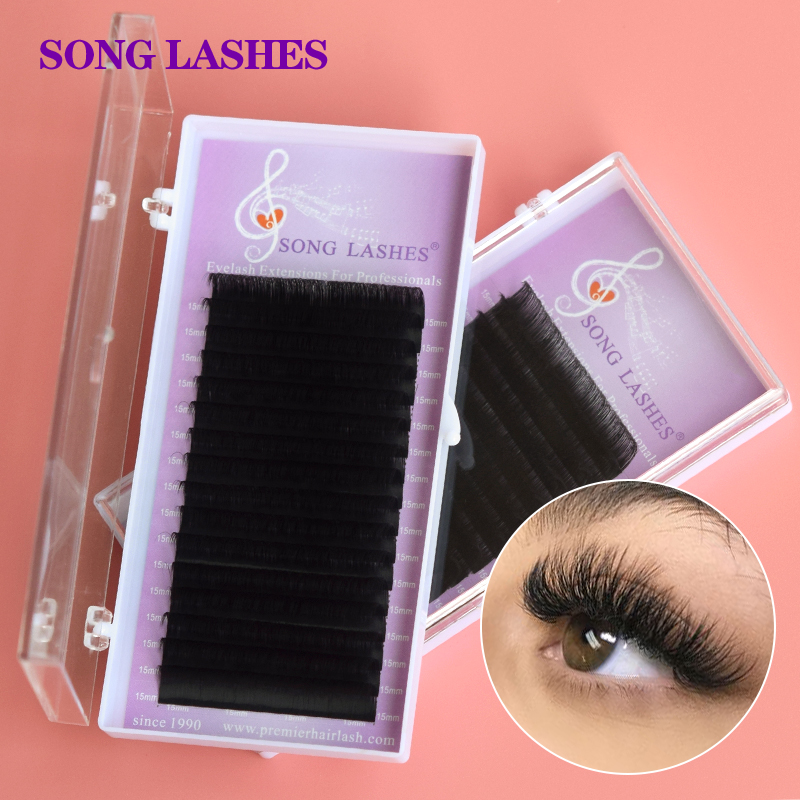 Beauty Makeup Songs - سونغ لاشز أسعار الجملة 16 17