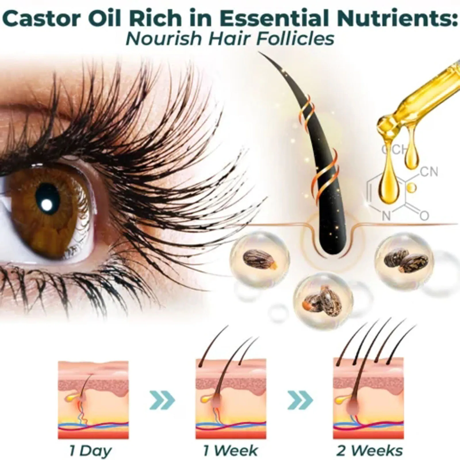 سيروم تغذية الرموش – بيوتين، ز - مراجعة Lash Serum Growth وسعره